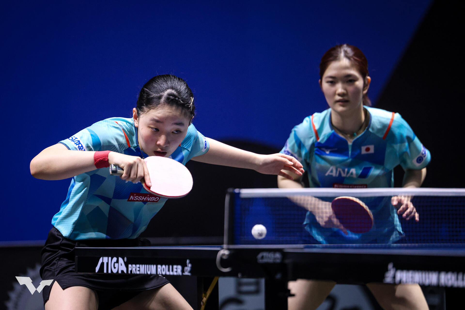 54416261703_ba120138cf_o (1).jpg